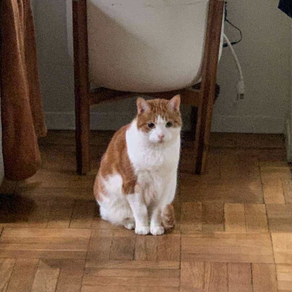 Meet your Posher, Michael